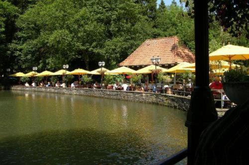 Waldhotel Silbermuehle Horn-Bad Meinberg Exterior foto